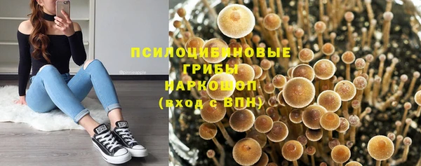 эйфоретик Абаза