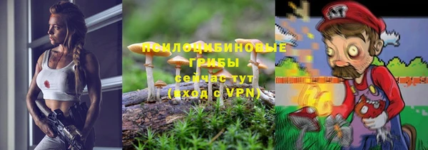 тгк Абинск
