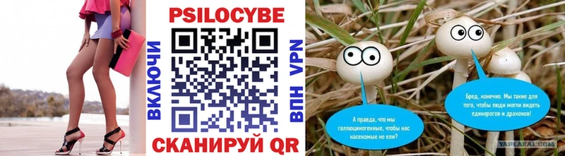Псилоцибиновые грибы мицелий  закладки  мега вход  Кисловодск 