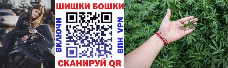 Бошки марихуана конопля  Кисловодск 